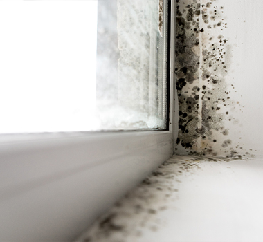 mold in the corner of the window - condensation control
