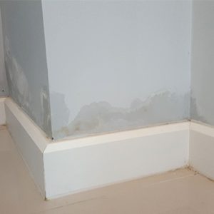 raising damp on concrete wall from underground water