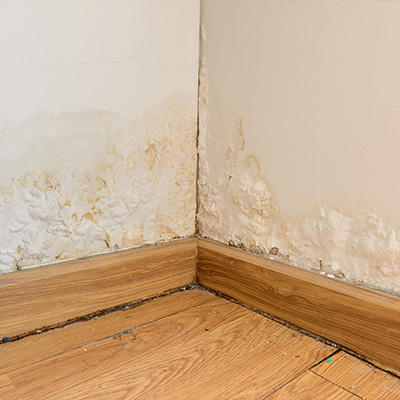 Damp Problems In Home - Damp Experts in Oxford