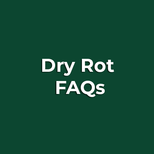 Dry Rot FAQs