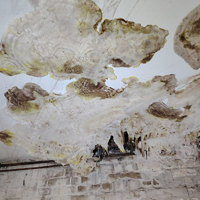 An area of dry rot clearly visible on a ceiling located in an oxford based home