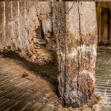 timber that has started to rot due to wet rot