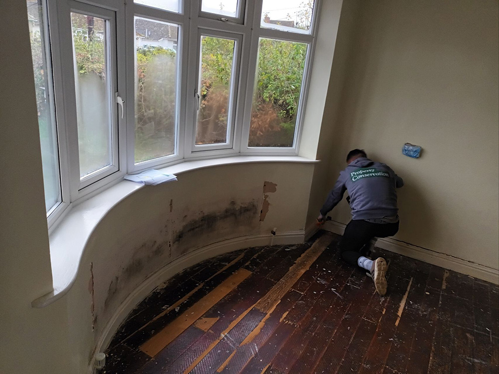 Chemical Damp Proofing - Rising Damp and Mould