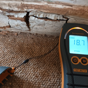 A moisture meter used to measure the moisture levels in a wall during a damp survey