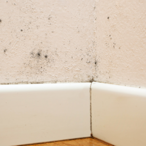 The bottom corner of a living room wall, showing signs of mildew.