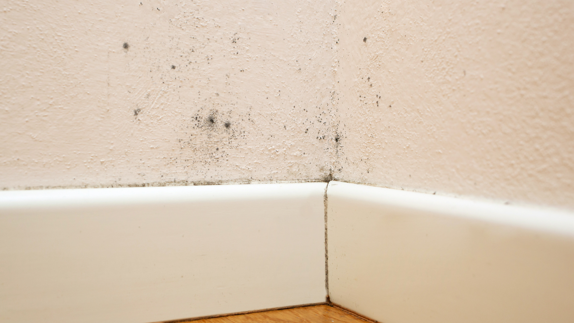 The bottom corner of a living room wall, showing signs of mildew.