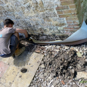 Dampproof technician's apprentice, Alan, trimming excess Geo-Drain outside