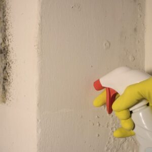 A spray bottle being aimed at black mould in the corner of a room