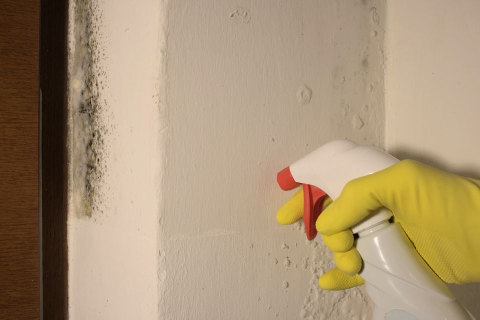 A spray bottle being aimed at black mould in the corner of a room