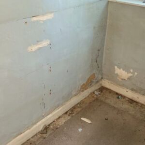 Damage to painted walls caused by hygroscopic salts