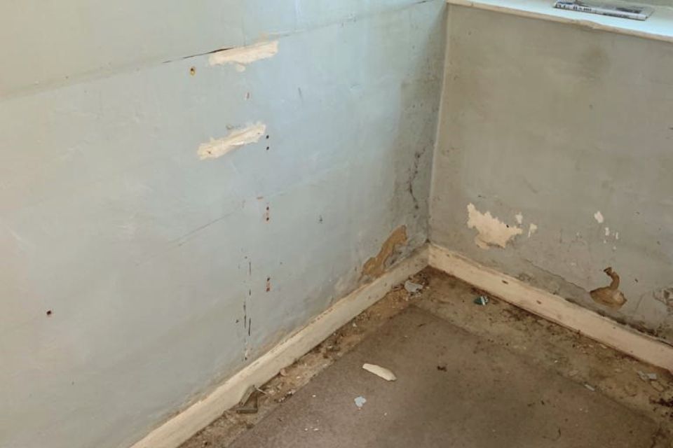 Damage to painted walls caused by hygroscopic salts