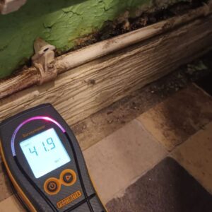 A protimeter being used to detect damp levels during a damp survey