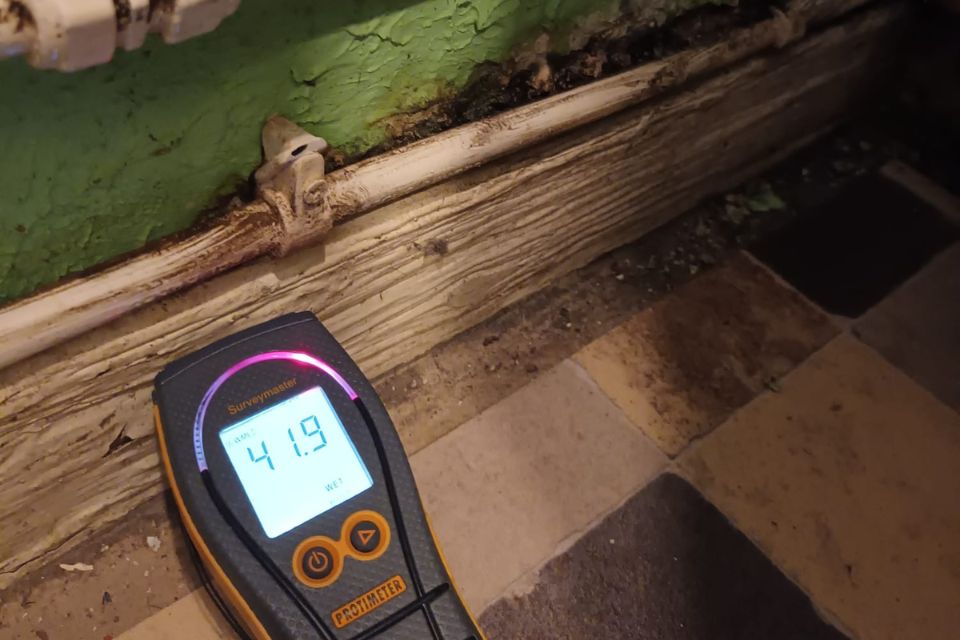 A protimeter being used to detect damp levels during a damp survey