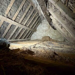 Underneath a timber oof suffering woodworm