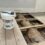 Timber inspection & treatment to two floors