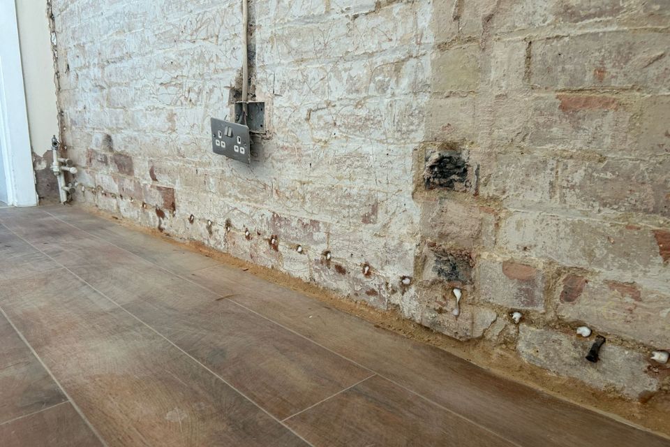 A chemical damp proof course, and you can see the injection points where the chemical cream is evident on the surface of the wall