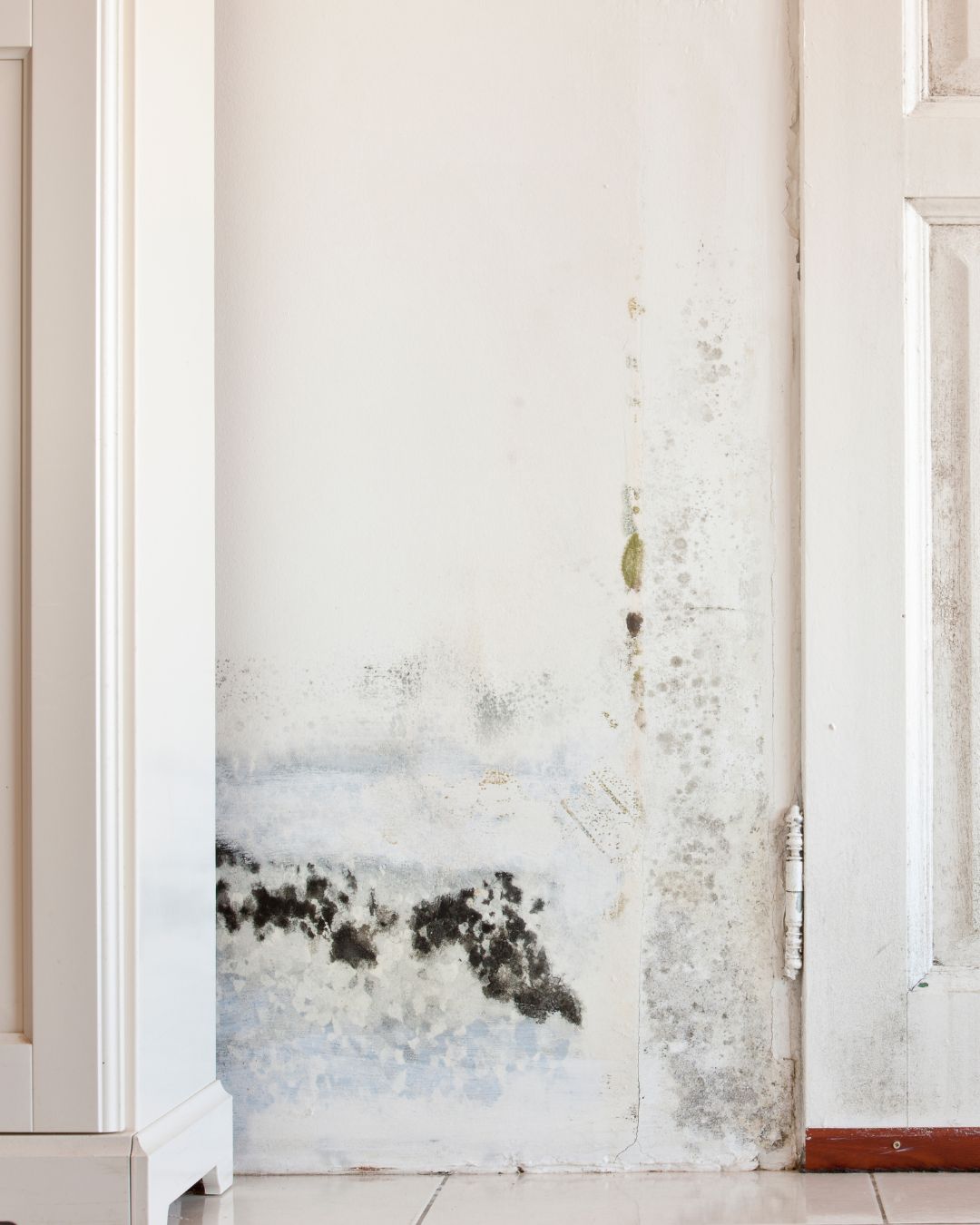 Black mould and dampness at the bottom of a wall