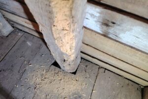 A woodworm damaged wooden post, showing frass on the floorboards beneath