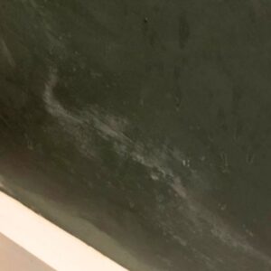 Salt tide marks on a dark green painted wall